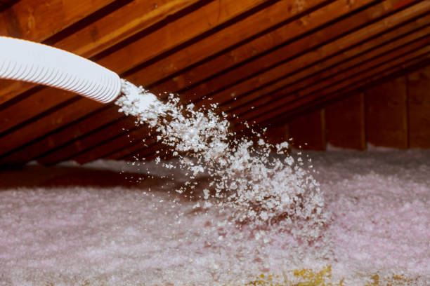 Best Cellulose Insulation in Mogadore, OH