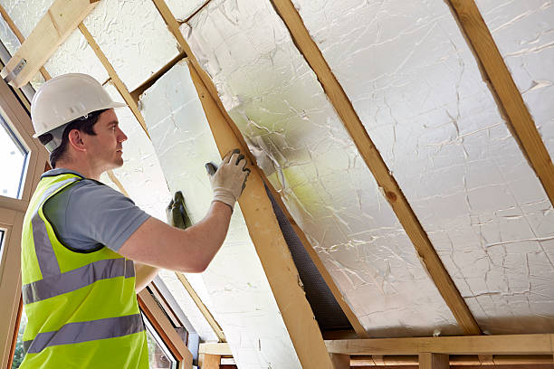 Best Geographic-Specific Insulation Services in Mogadore, OH