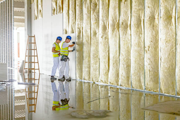Best Blown-in Insulation in Mogadore, OH